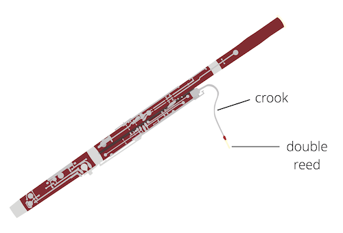 bassoon diagram, crook labelled, double reed labelled