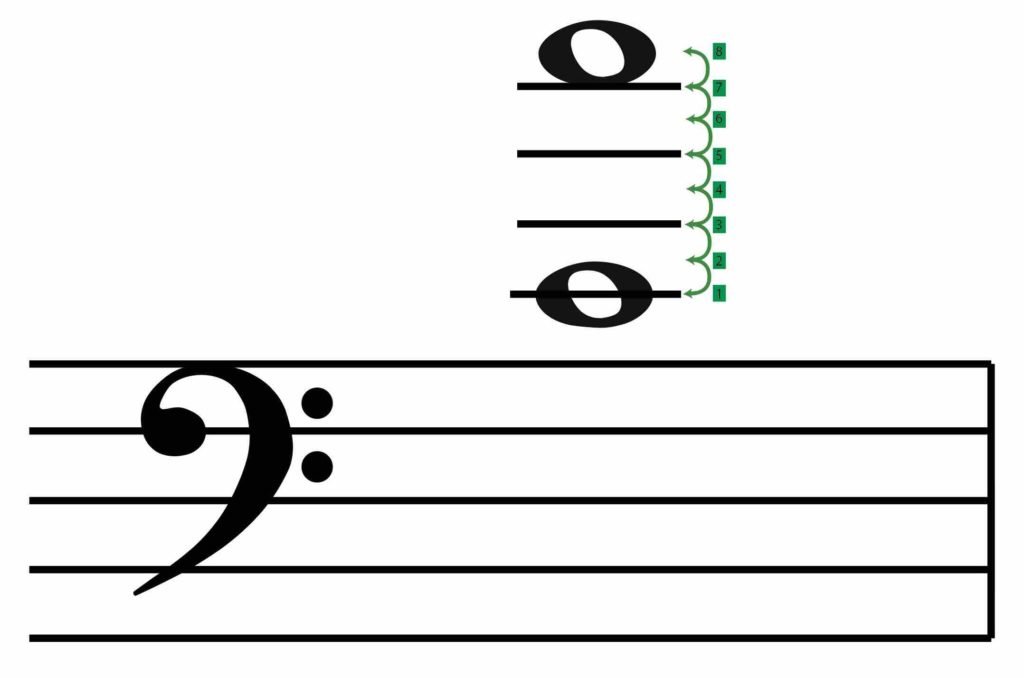 transpose up an octave, middle C, bass clef