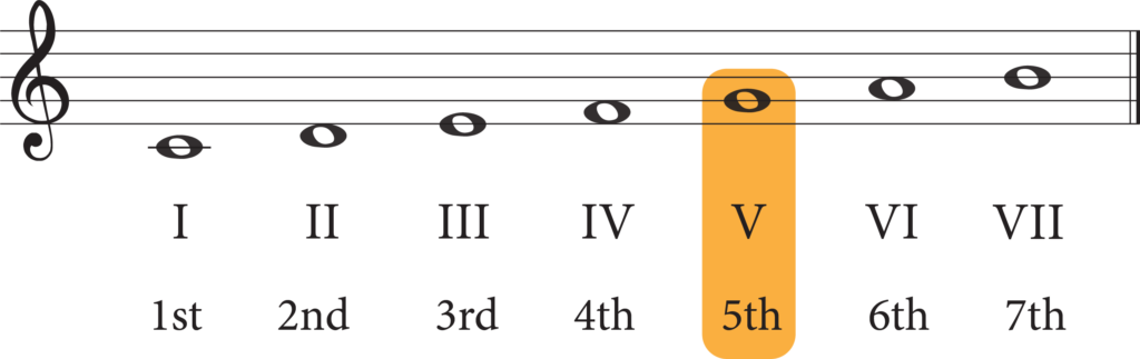 c major scale with degrees labelled, 5th highlighted
