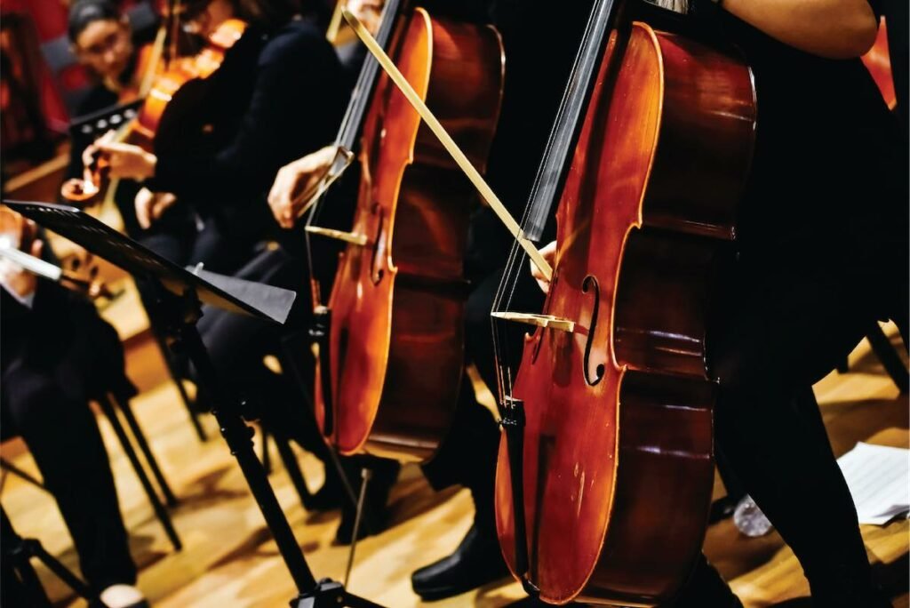 orchestra photo, focus on cello section