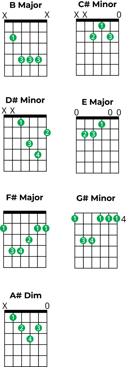 Chords in B major: A Music Theory Guide