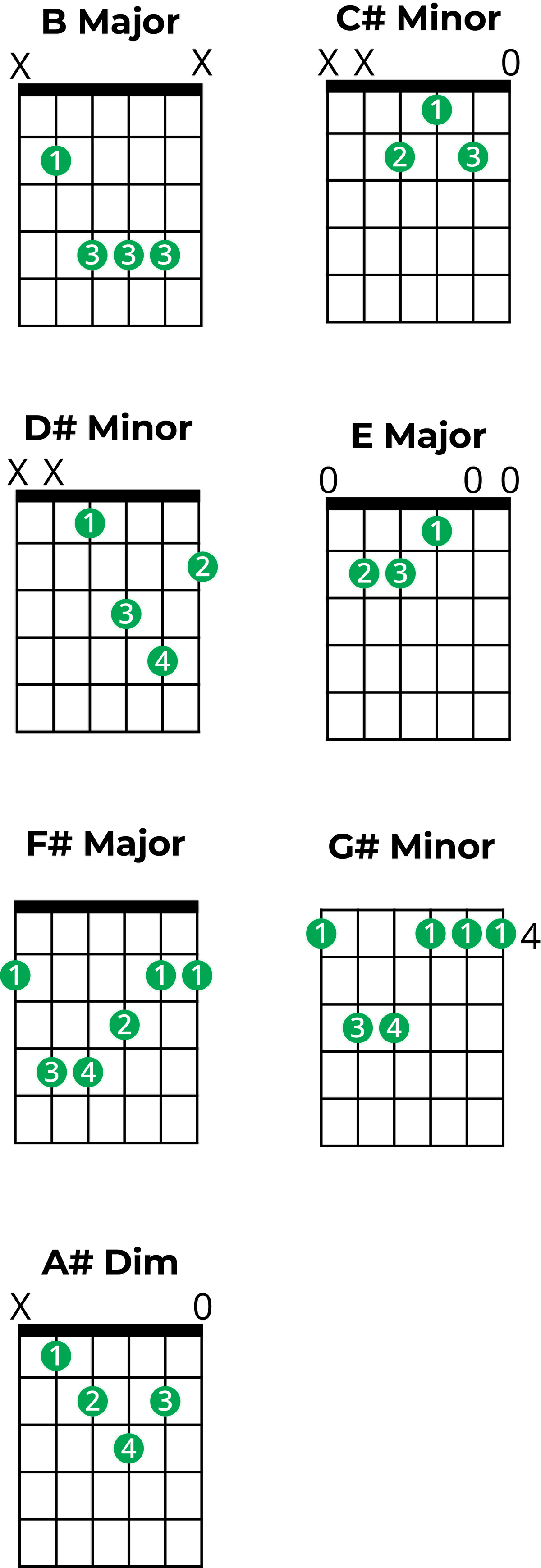 Chords In B Major: A Music Theory Guide