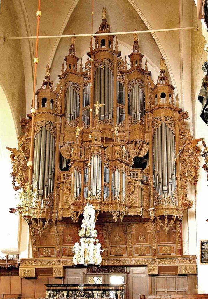 organ 