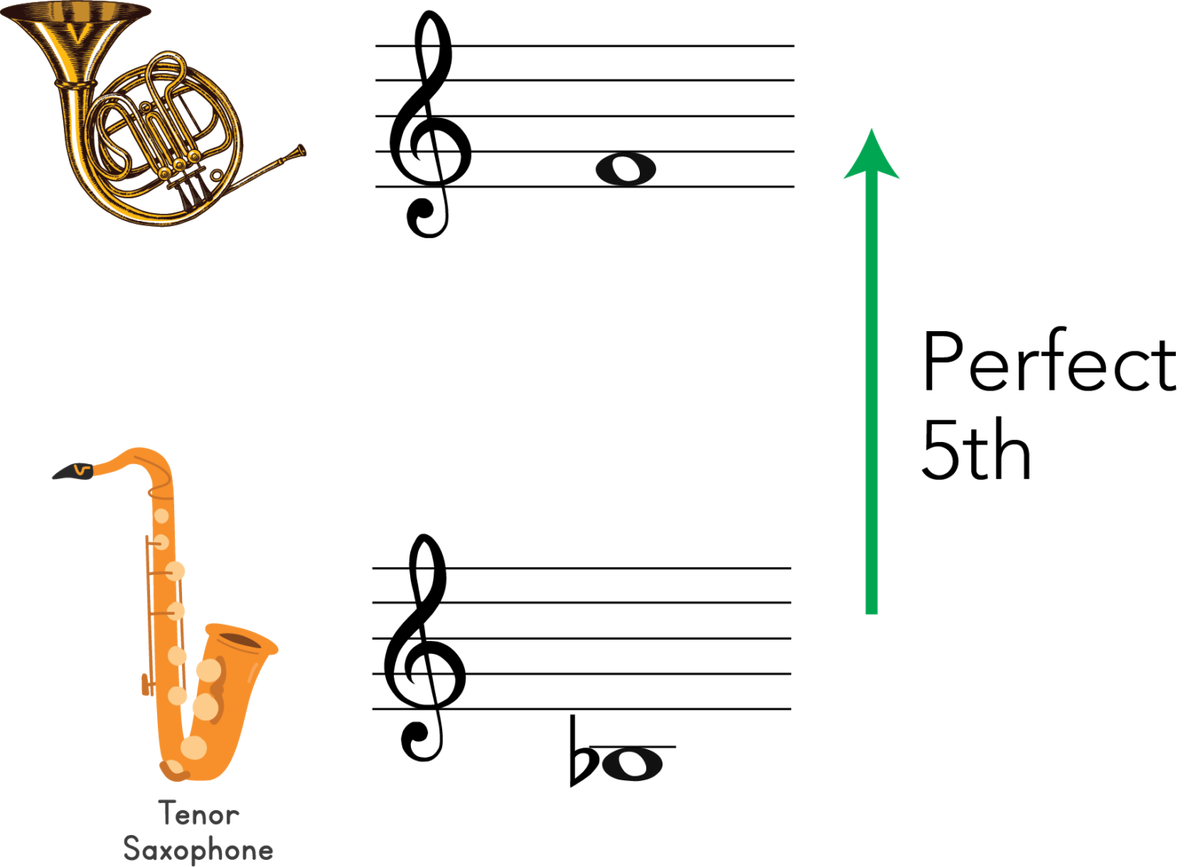 Transposition For French Horn: A Music Theory Guide