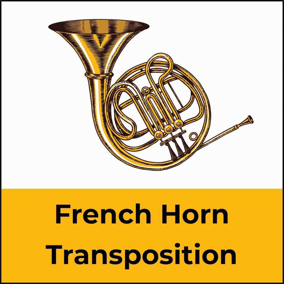 french horn essay