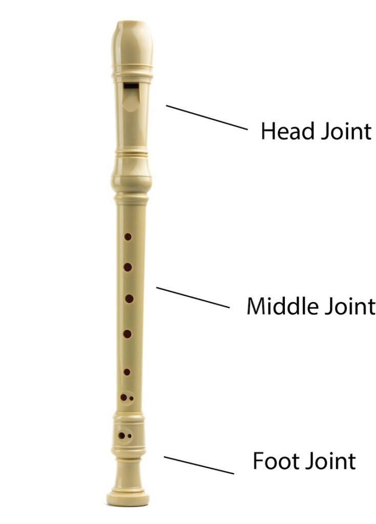 recorder three parts, head, middle and foot joints