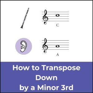 transpose down a minor 3rd, featured image