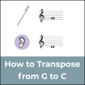transpose g to c featured image