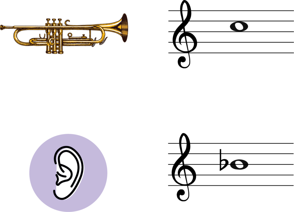 trumpet play c and we hear B flat