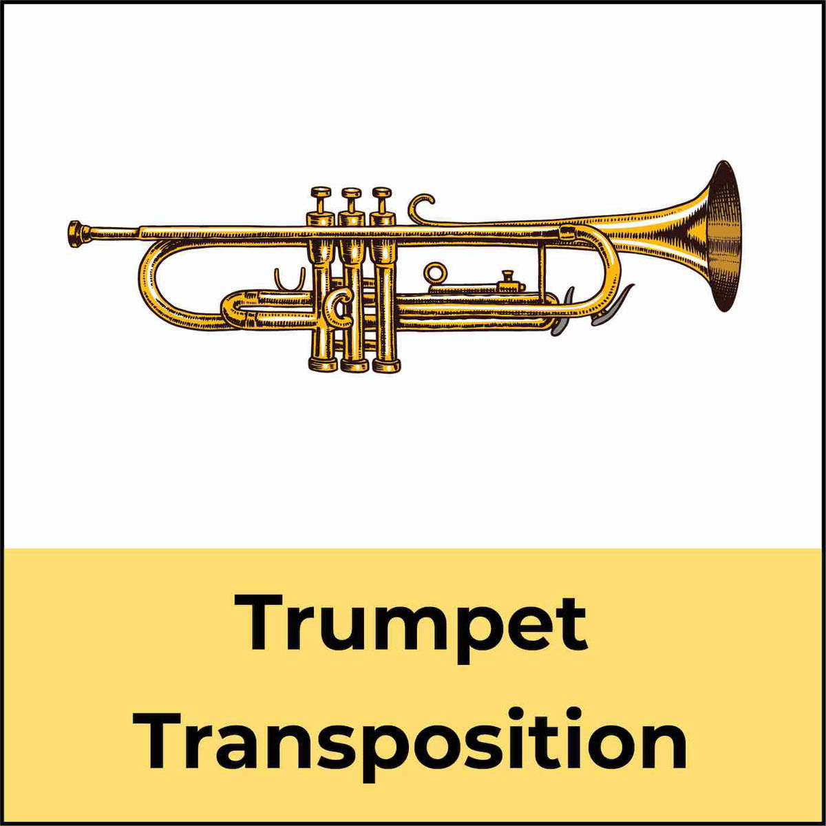 Parts of a Trumpet Explained