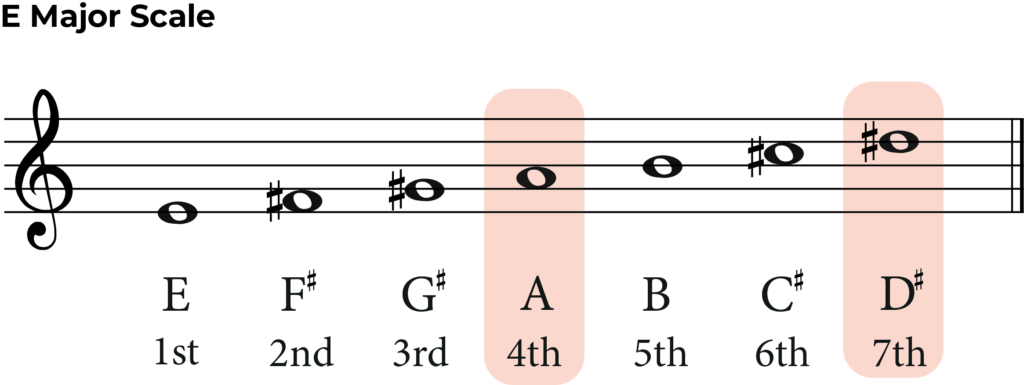 E major scale with 4th and 7th highlighted