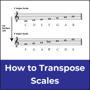 transpose scales featued image
