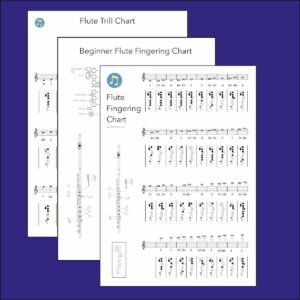 flute fingering charts, three charts in image overlapping