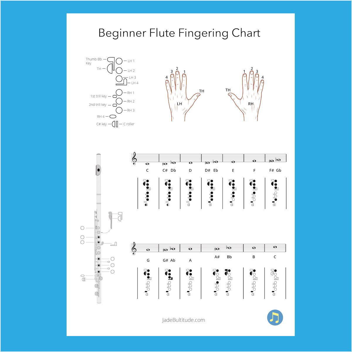 Flute Fingering Chart For Beginners: PDF Download 🎶🎶